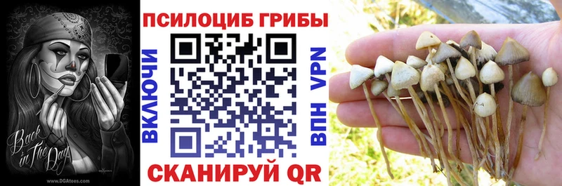 Галлюциногенные грибы GOLDEN TEACHER как найти закладки Дорогобуж