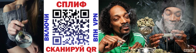 Канабис план  Дорогобуж 